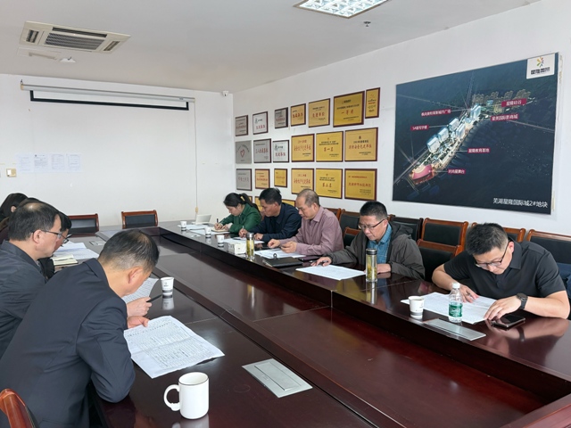 汪冬生主持召開蕪湖星隆國際商業地產重大社會穩定風險化解工作專題會議
